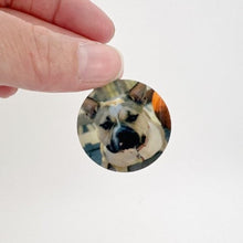 Load image into Gallery viewer, pet name tags