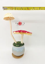 Load image into Gallery viewer, Paper mushrooms
